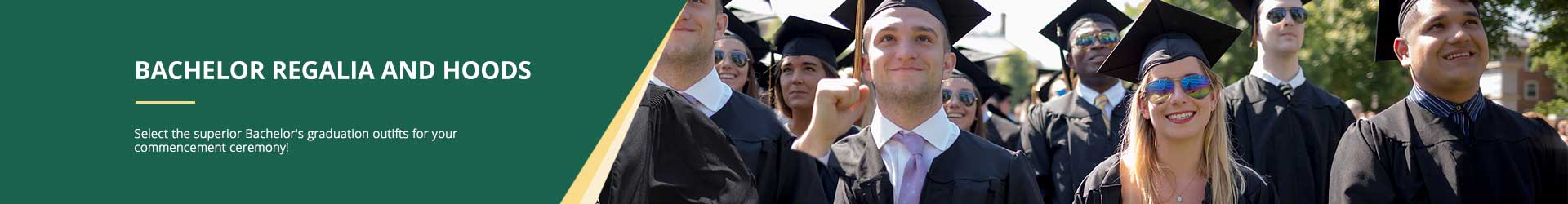 Bachelor's Degree