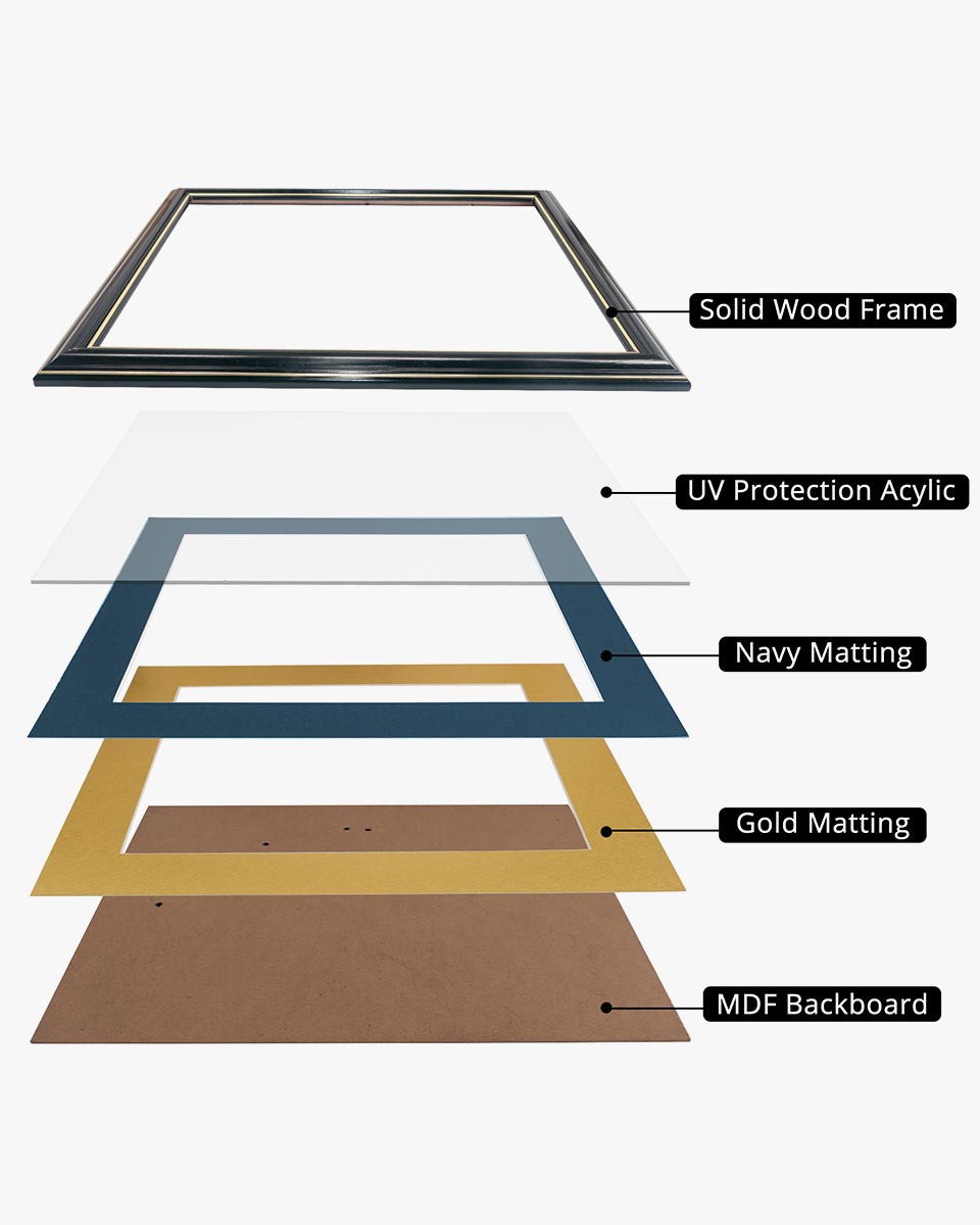 Certificate Documents Frame Real Wood with Gold Trim for 8.5"*11" - 8 Colors Available