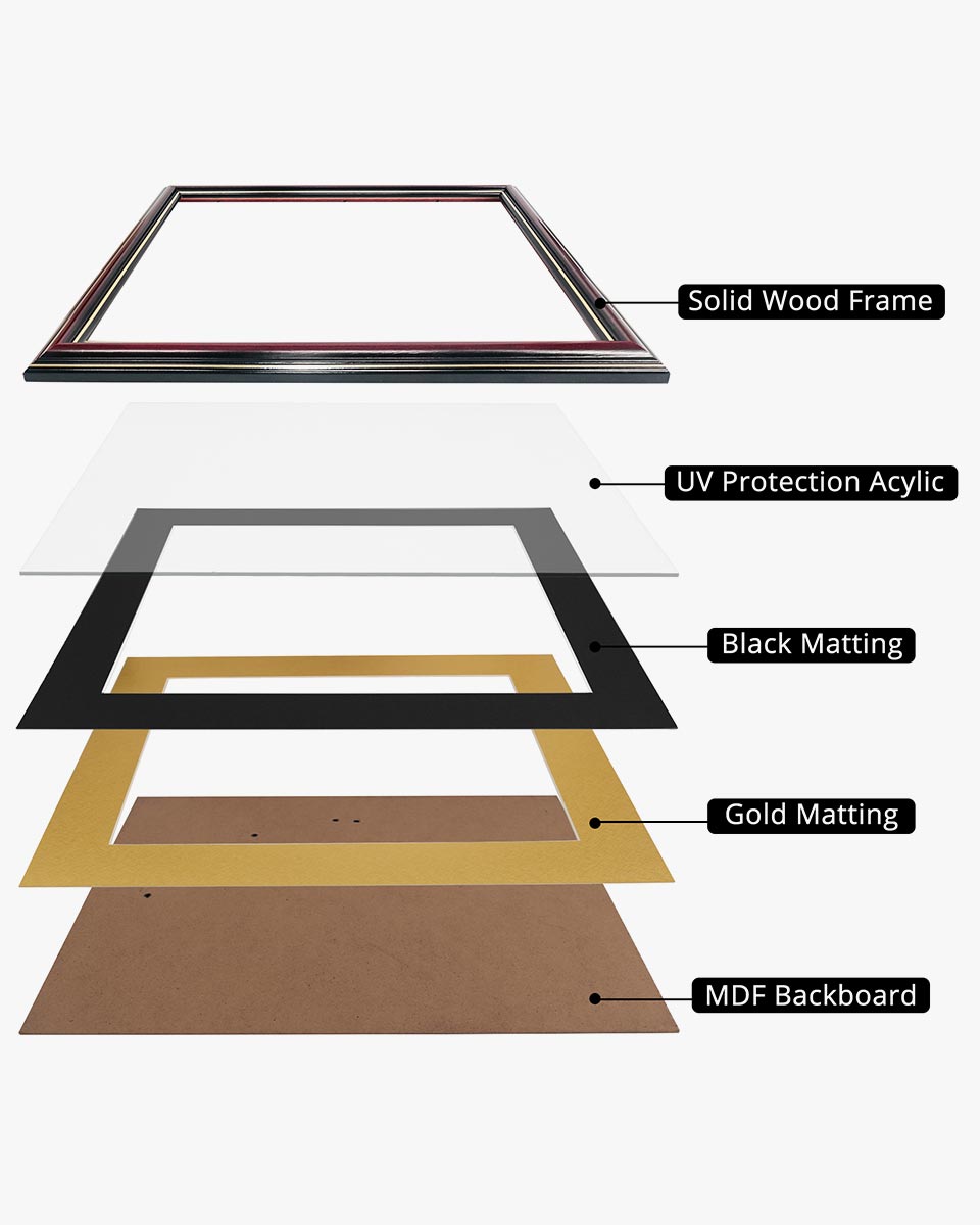 Certificate Documents Frame Real Wood with Gold Trim for 8.5"*11" - 8 Colors Available