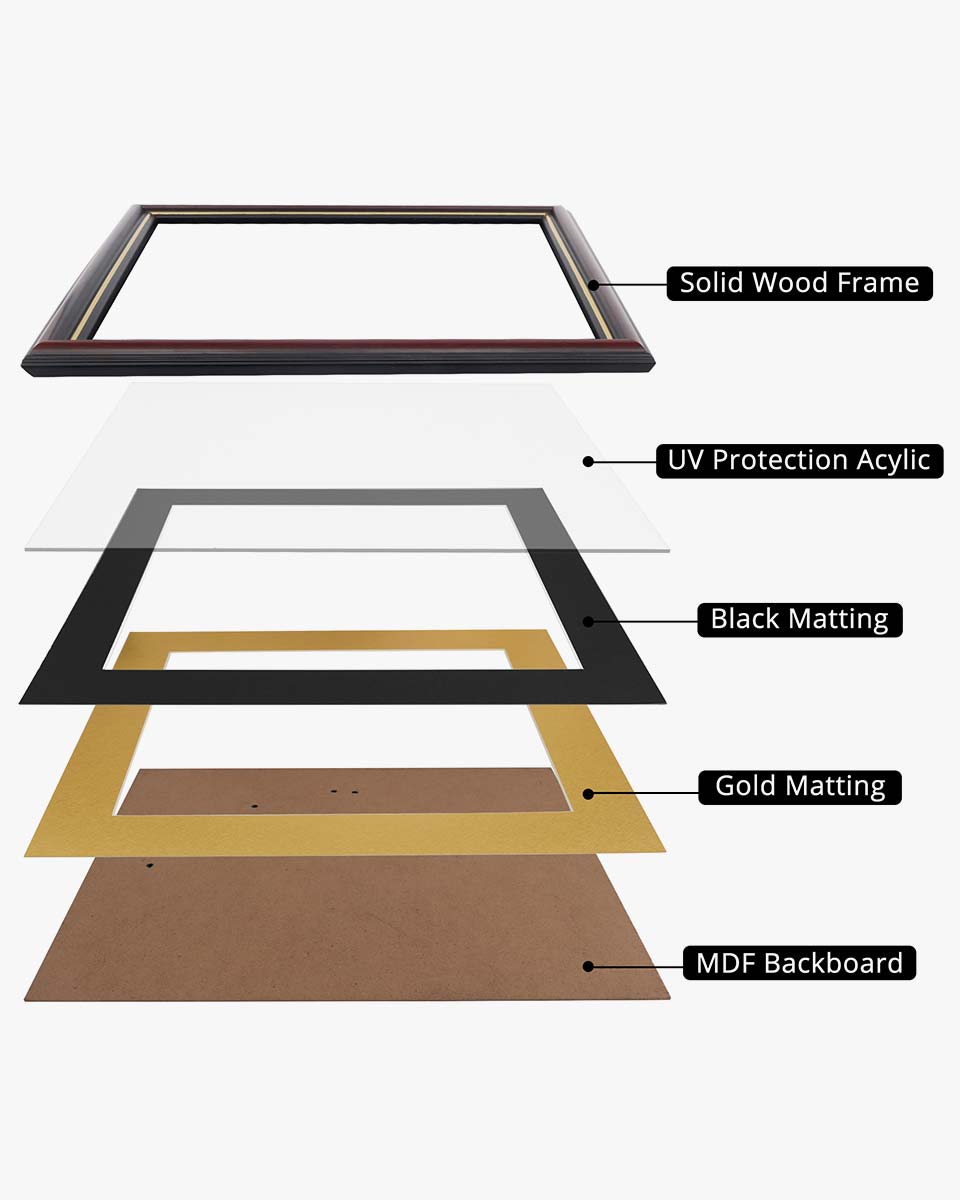 Certificate Documents Frame Real Wood with Gold Trim for 11"*14" - 10 Colors Available