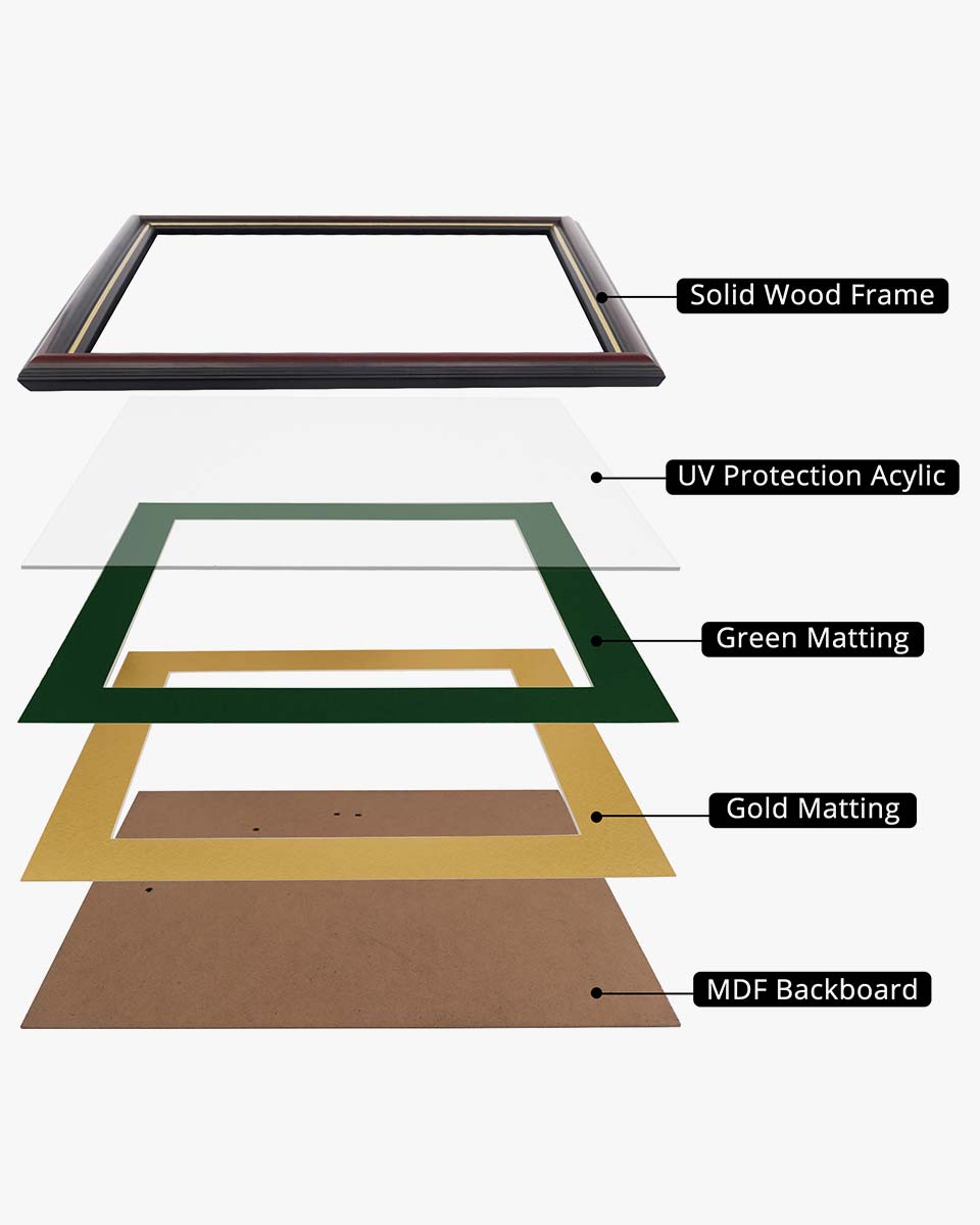 Certificate Documents Frame Real Wood with Gold Trim for 11"*14" - 10 Colors Available