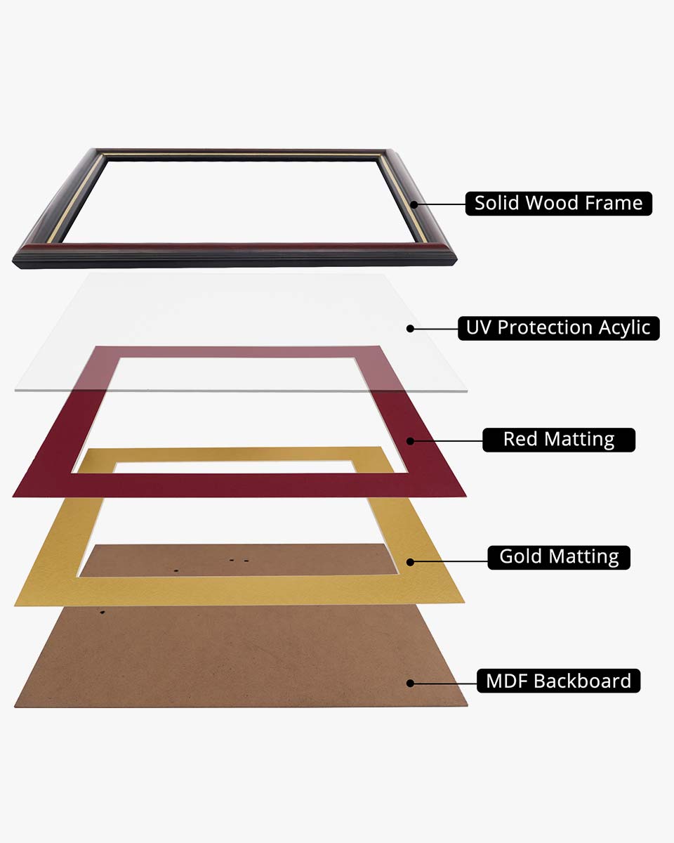 Certificate Documents Frame Real Wood with Gold Trim for 11"*14" - 10 Colors Available