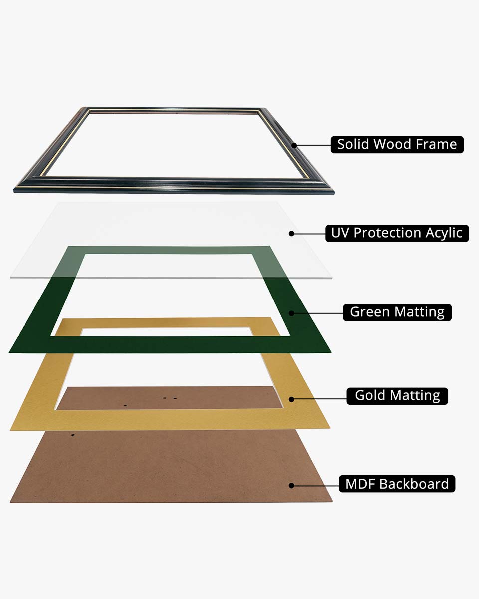 Certificate Documents Frame Real Wood with Gold Trim for 11"*14" - 10 Colors Available