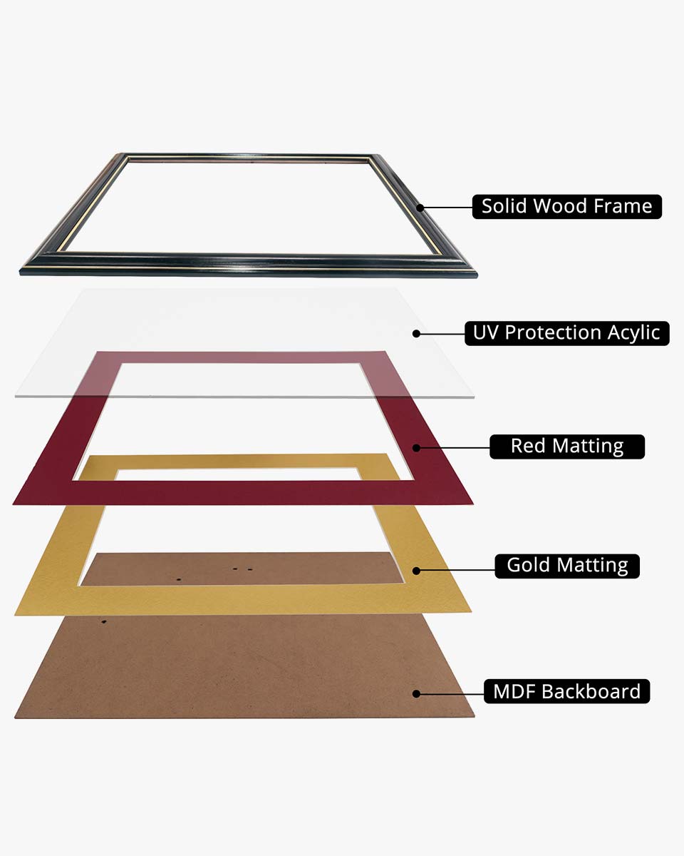 Certificate Documents Frame Real Wood with Gold Trim for 11"*14" - 10 Colors Available