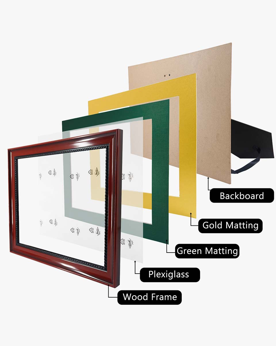 Certificate Solid Wood Frame with Intricate Black Rope Detail for 8.5"*11"/11"*14" - 10 Colors Available