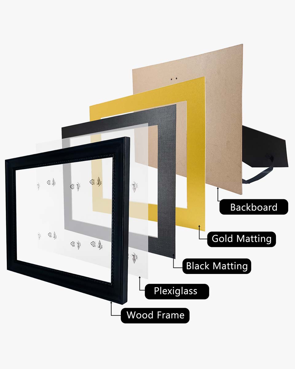 Certificate Solid Wood Frame with Intricate Black Rope Detail for 8.5"*11"/11"*14" - 10 Colors Available