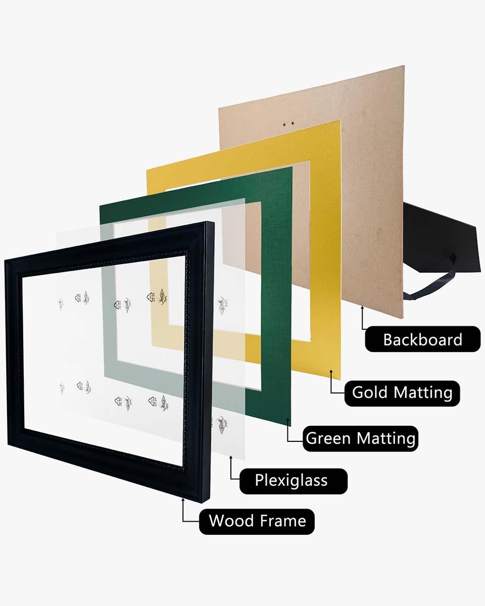 Certificate Solid Wood Frame with Intricate Black Rope Detail for 8.5"*11"/11"*14" - 10 Colors Available