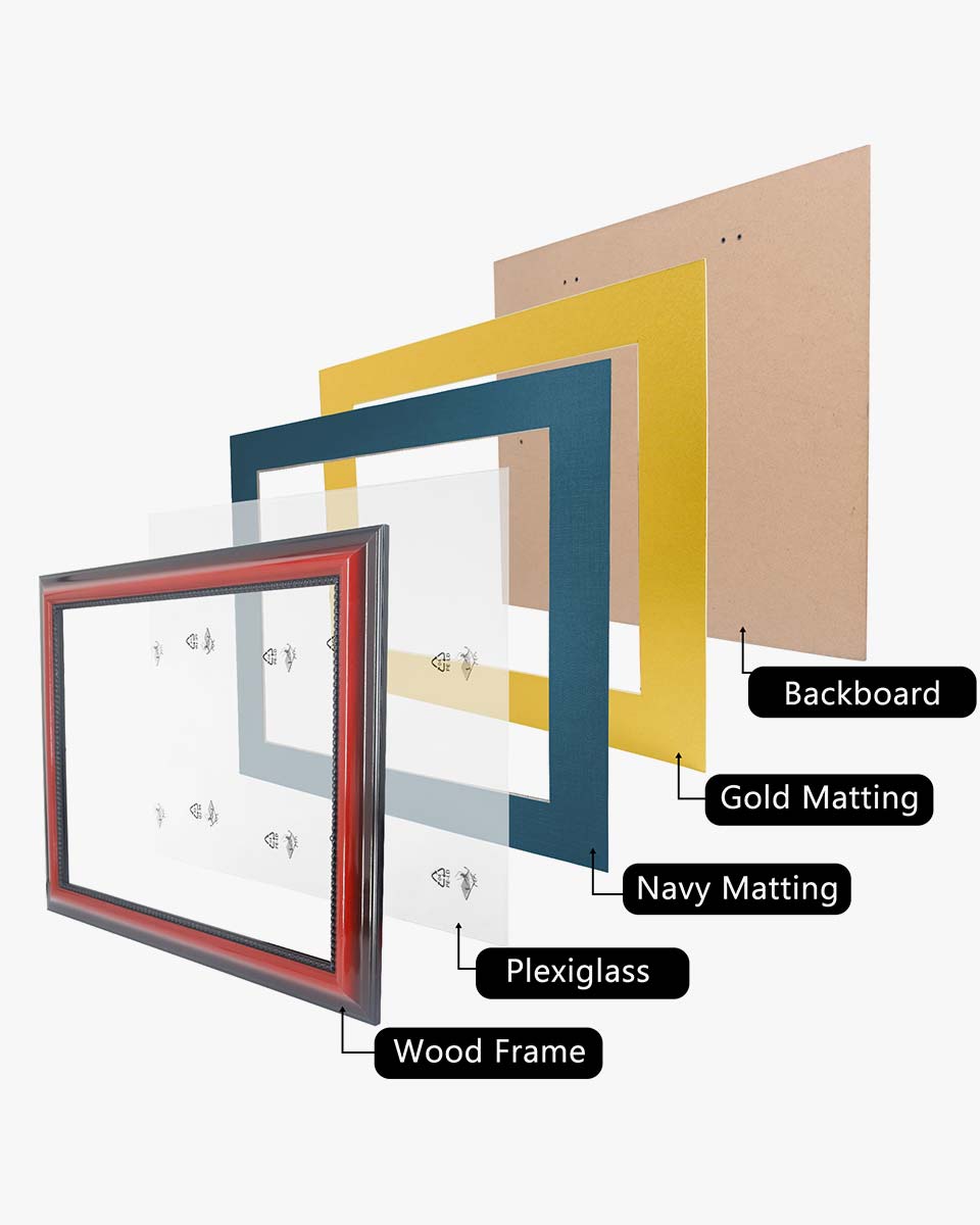 Certificate Solid Wood Frame with Intricate Black Rope Detail for 11"*14"/15"*18" - 10 Colors Available