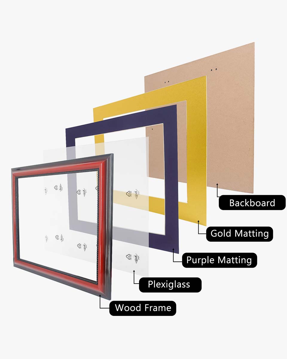 Certificate Solid Wood Frame with Intricate Black Rope Detail for 11"*14"/15"*18" - 10 Colors Available