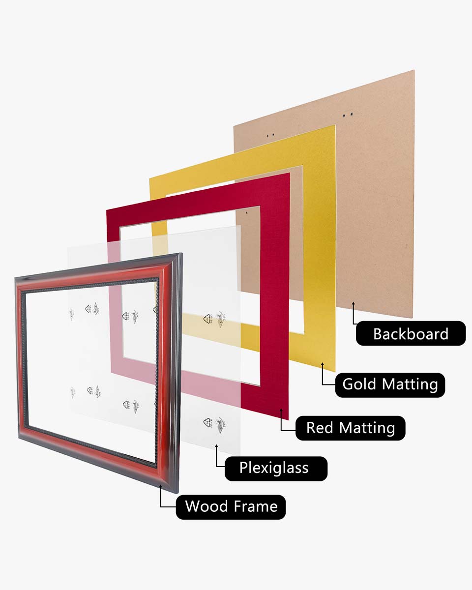 Certificate Solid Wood Frame with Intricate Black Rope Detail for 11"*14"/15"*18" - 10 Colors Available