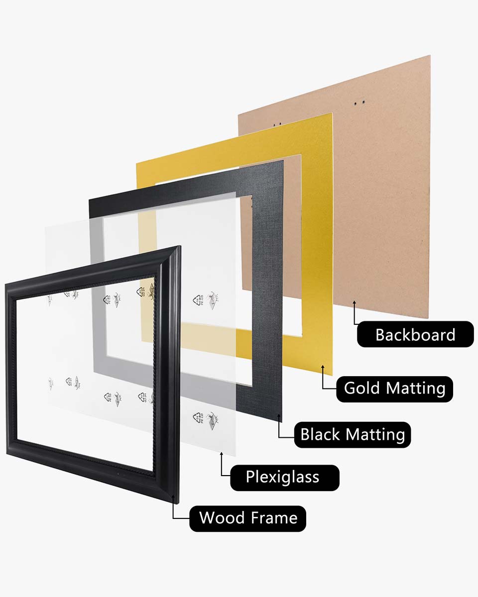 Certificate Solid Wood Frame with Intricate Black Rope Detail for 11"*14"/15"*18" - 10 Colors Available
