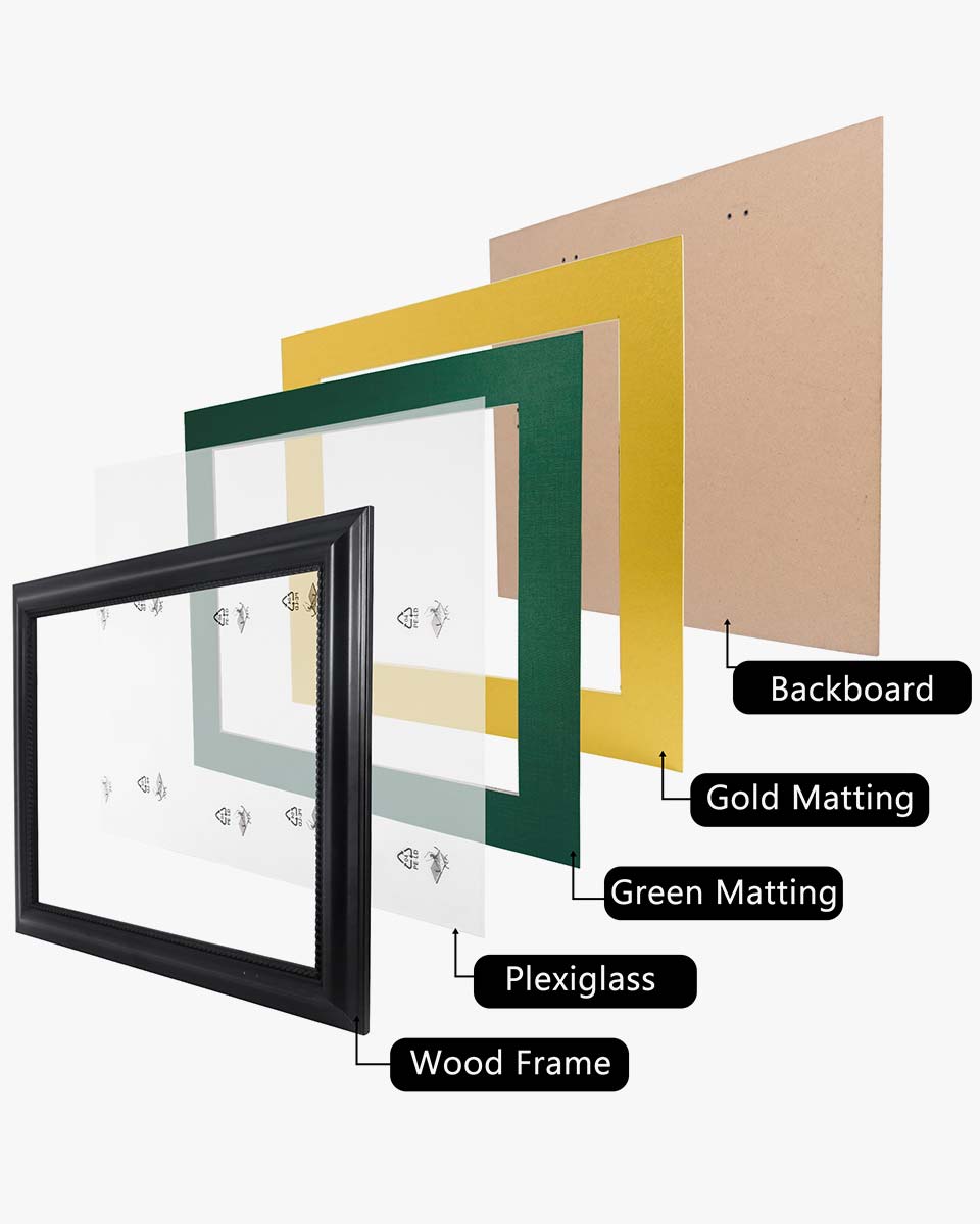 Certificate Solid Wood Frame with Intricate Black Rope Detail for 11"*14"/15"*18" - 10 Colors Available
