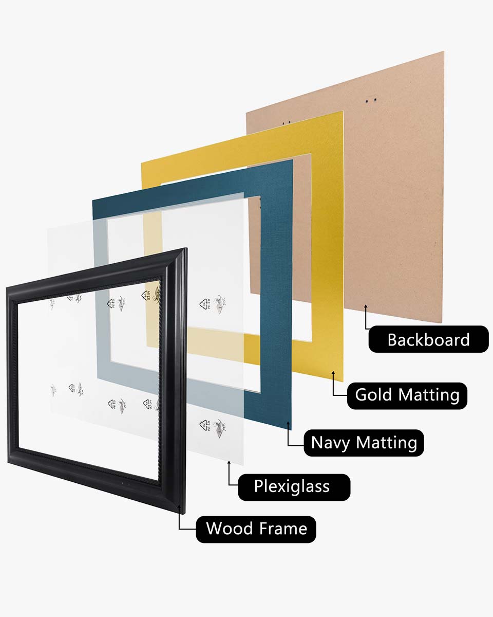 Certificate Solid Wood Frame with Intricate Black Rope Detail for 11"*14"/15"*18" - 10 Colors Available
