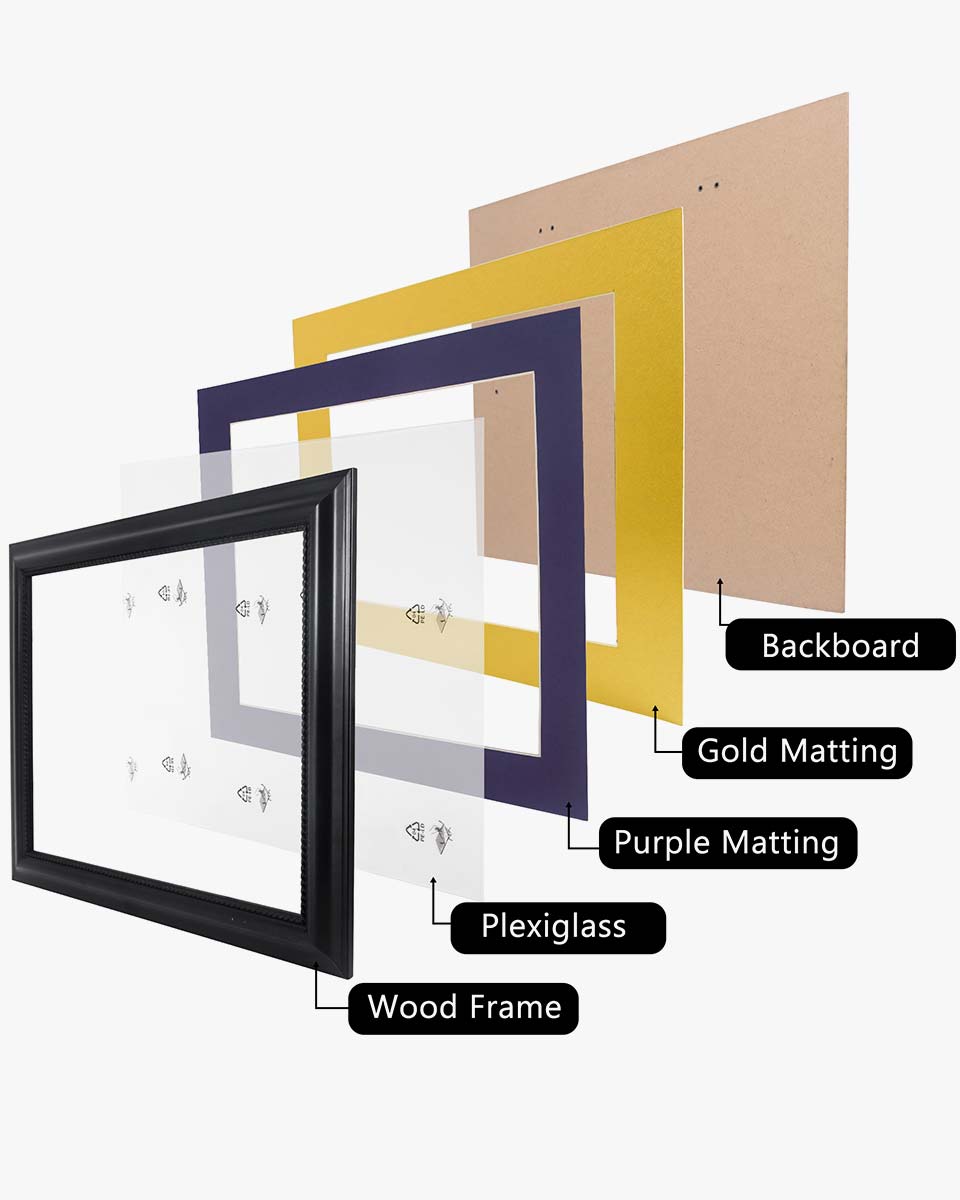 Certificate Solid Wood Frame with Intricate Black Rope Detail for 11"*14"/15"*18" - 10 Colors Available