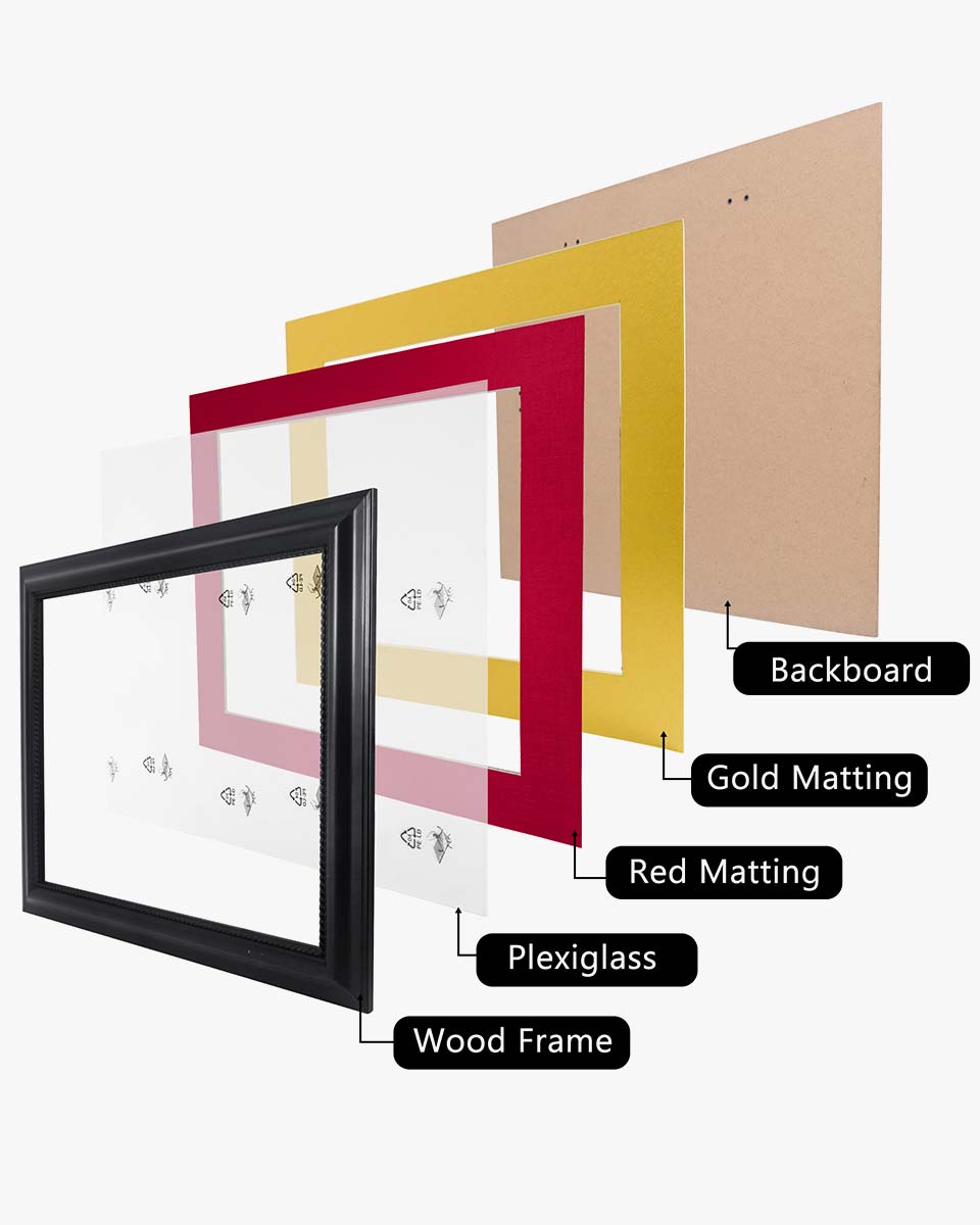 Certificate Solid Wood Frame with Intricate Black Rope Detail for 11"*14"/15"*18" - 10 Colors Available