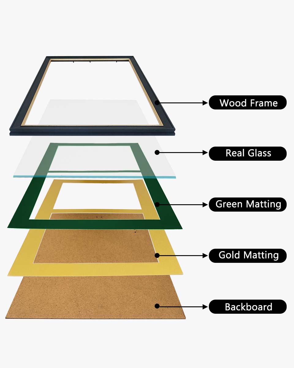 Double Certificate Wood Diploma Frame with Gold Trim for 8.5"x11" – 7 Colors Available