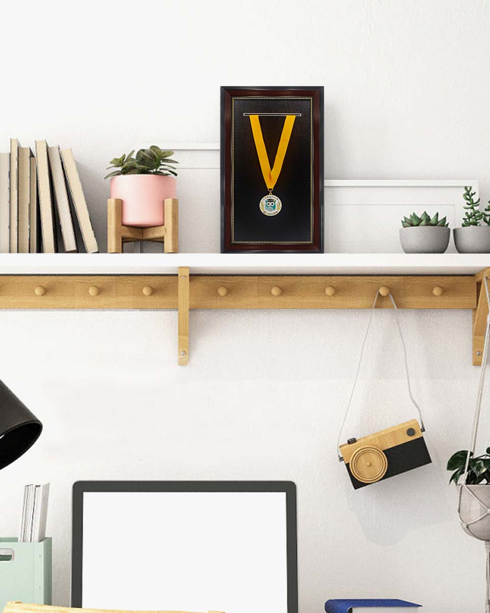 Graduation Stole and Medal Frame with Black Single Slot Mat, HD Glass - 4 Styles Available