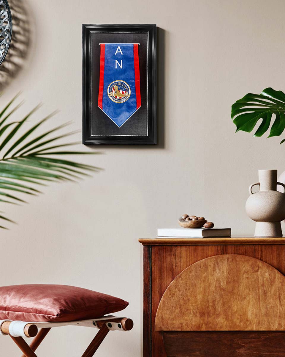 Graduation Stole and Medal Frame with Black Single Slot Mat, HD Glass - 4 Styles Available