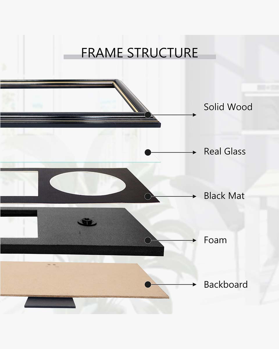 Black Wall and Tabletop CD Display Frame with Double Gold Trim for Disc and CD Case - 2 Mat Colors Available