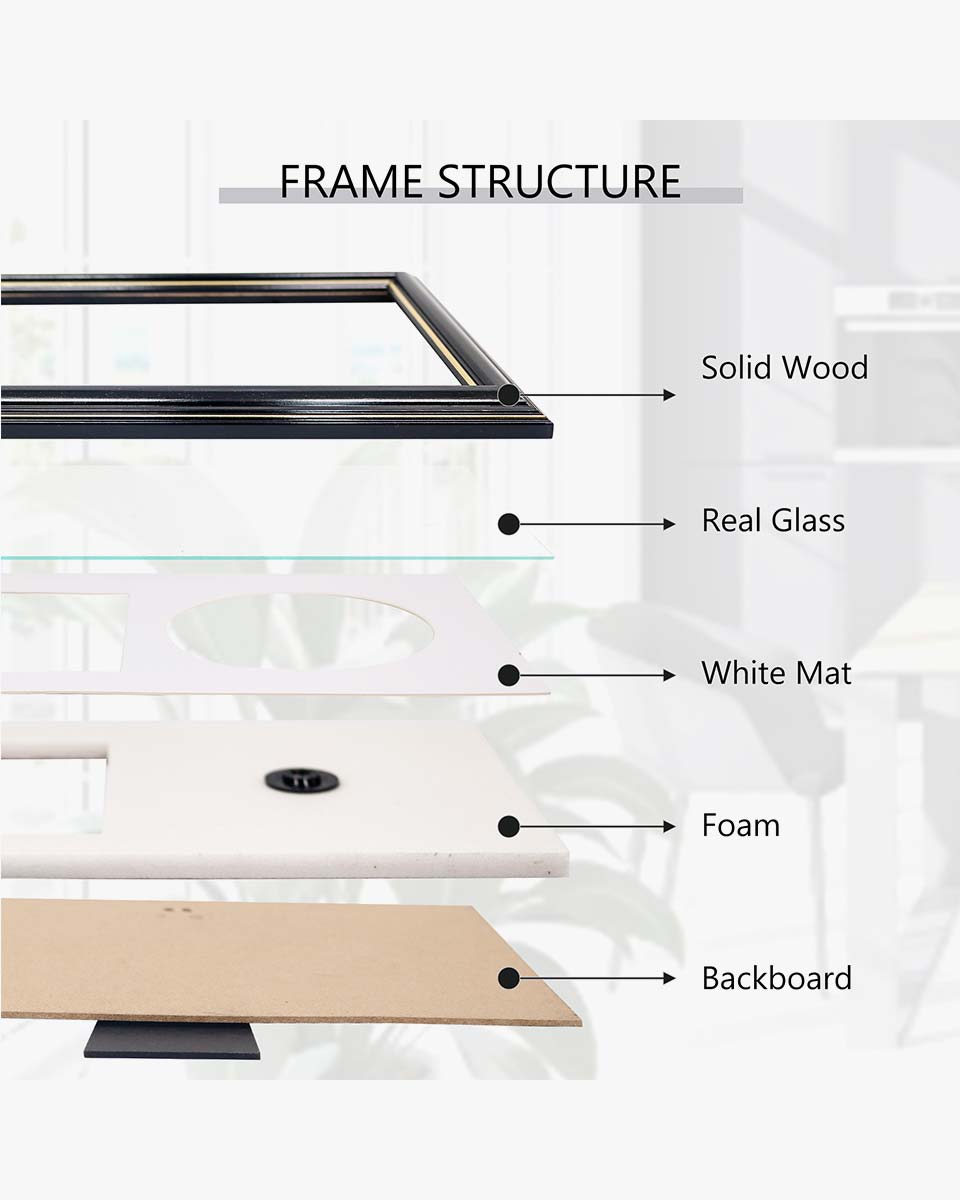 Black Wall and Tabletop CD Display Frame with Double Gold Trim for Disc and CD Case - 2 Mat Colors Available