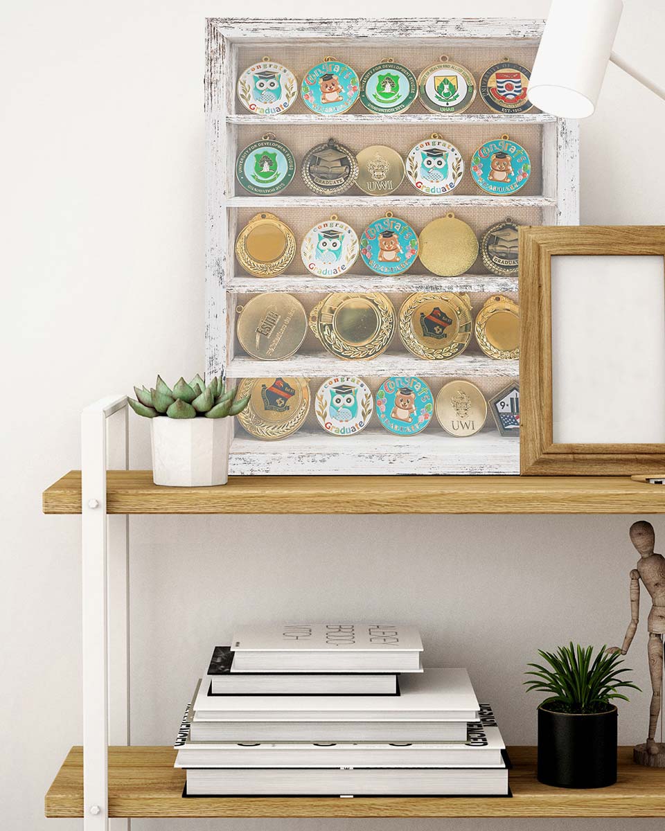 Rustic White Shadow Box Frame Window Door with Removable Shelves in 4 Sizes