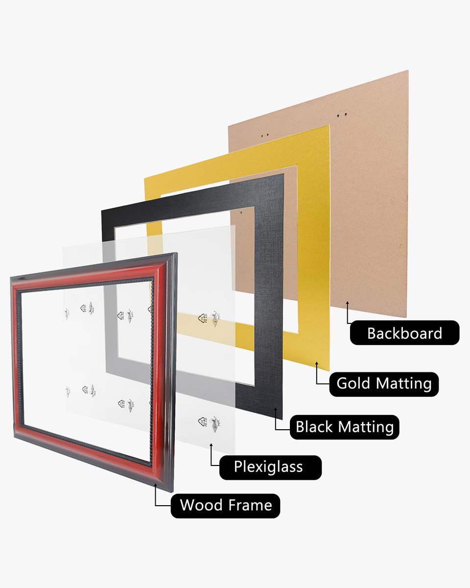 Certificate Solid Wood Frame with Intricate Black Rope Detail for 11"*14"/15"*18" - 10 Colors Available