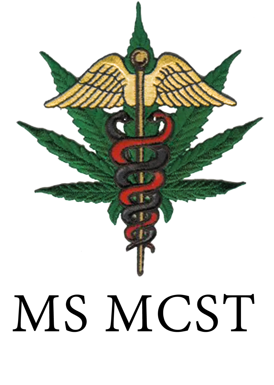 UNIVERSITY OF MARYLAND SCHOOL OF PHARMACY STOLE