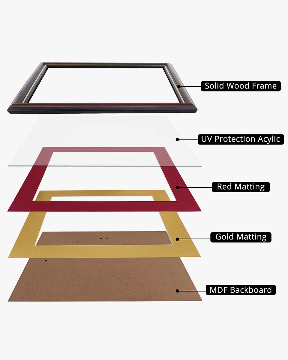 Certificate Documents Frame Real Wood with Gold Trim 8.5"*11" Pack of 2 - 13 Mat Colors Available