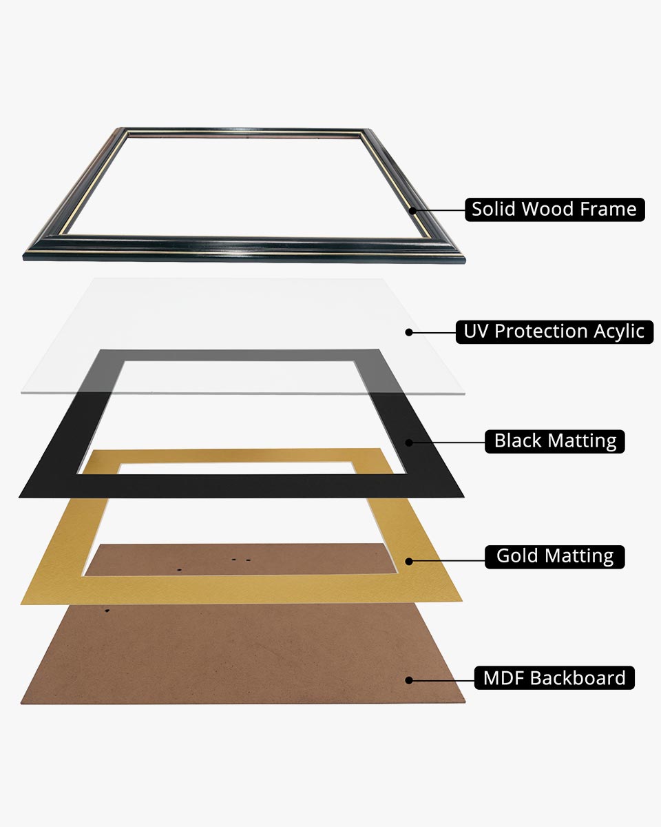 Certificate Documents Frame Real Wood with Gold Trim 8.5"*11" Pack of 2 - 13 Mat Colors Available