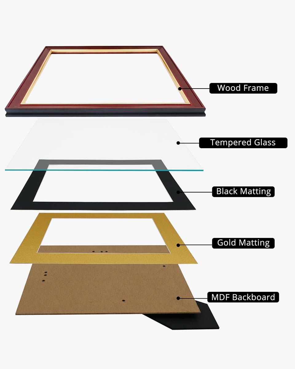 Wood Diploma Frame with Gold Trim Tempered Glass for 6*8 /  8*10 - 2 Colors Available