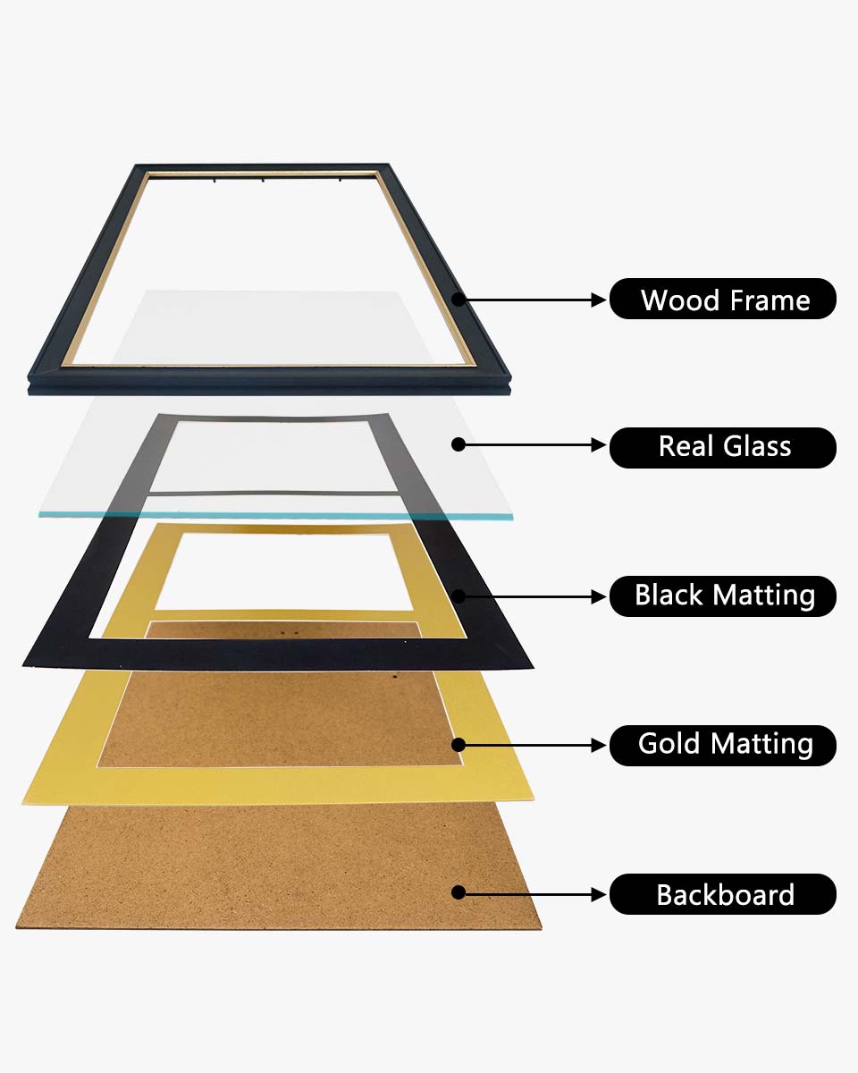 Double Certificate Wood Diploma Frame with Gold Trim for 8.5"x11" – 7 Colors Available