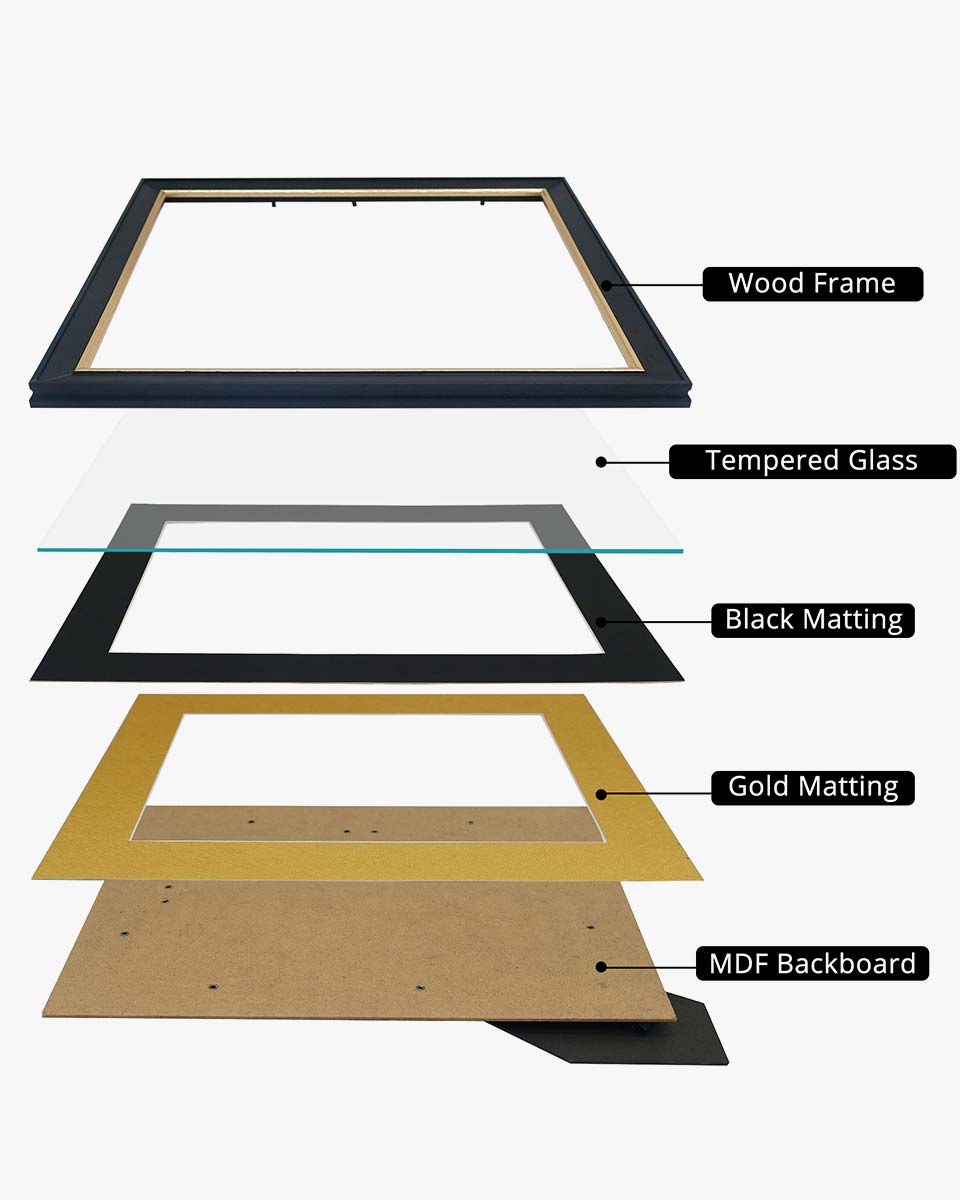 Wood Diploma Frame with Gold Trim Tempered Glass for 7*9 / 10*12 - 2 Colors Available