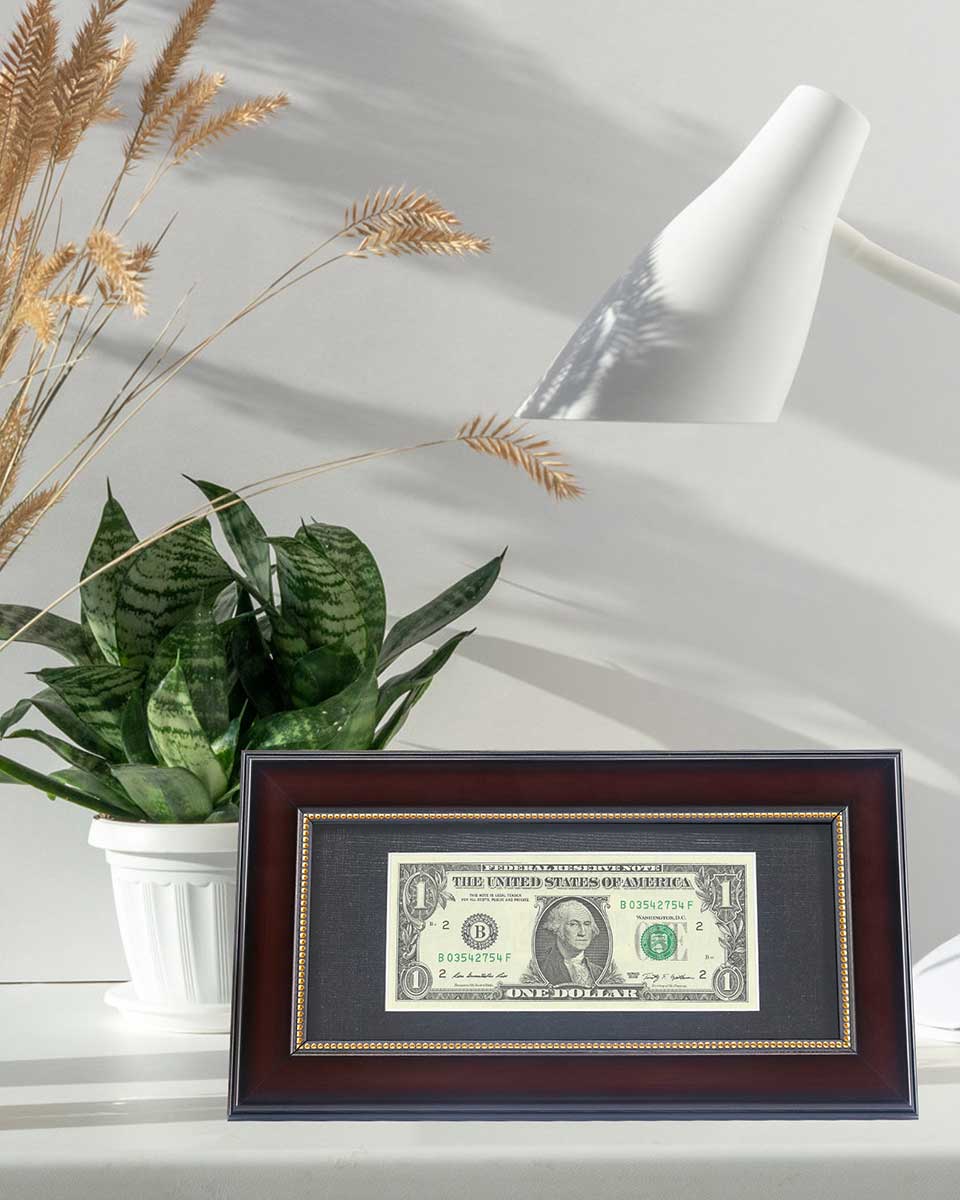 Dollar Bill Frame with Black Mat or Display 4x9 Picture without Mat - 2 Colors Available