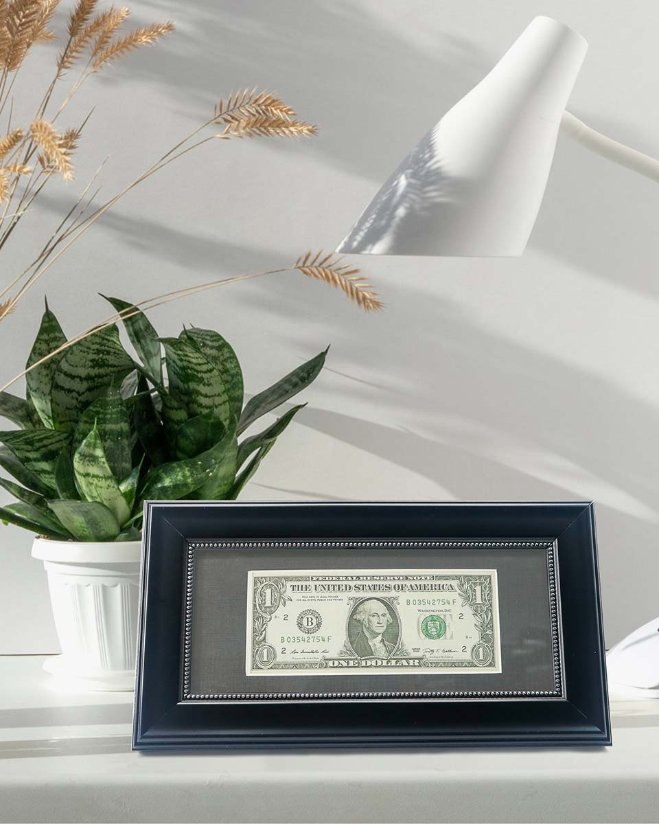 Dollar Bill Frame with Black Mat or Display 4x9 Picture without Mat - 2 Colors Available