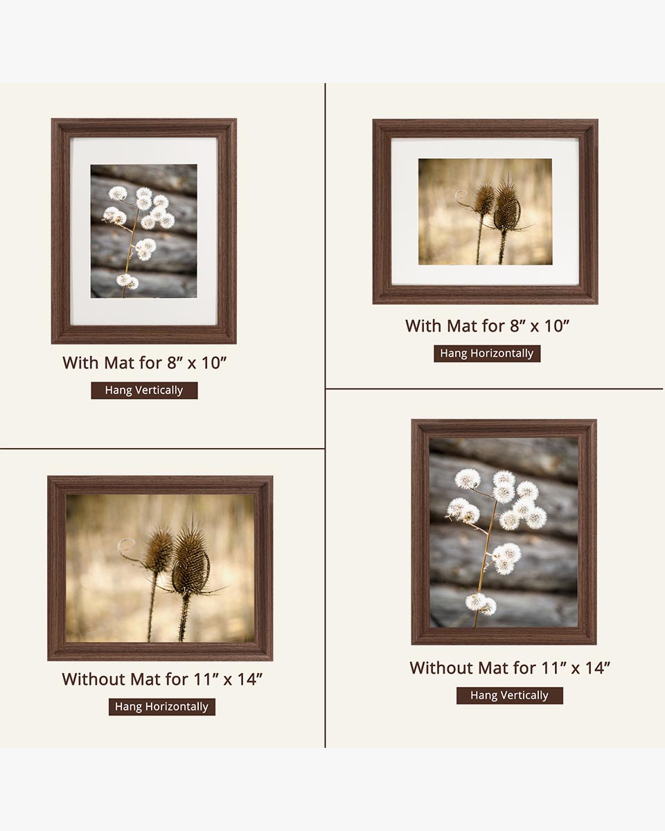 Brown Wood Photo Frames with Real Glass Pack of 2 - 4 Sizes Available