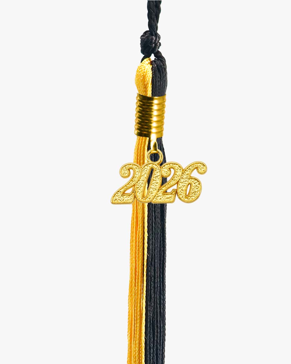 Year Charm Collection